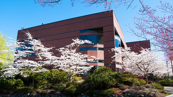 樱花盛开的春天，好的赌博软件推荐校园里的麦肯纳大厅.